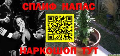 марихуана Будённовск