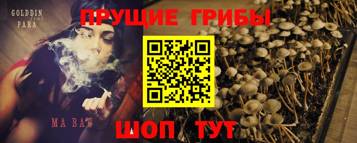 Галлюциногенные грибы мицелий Минусинск